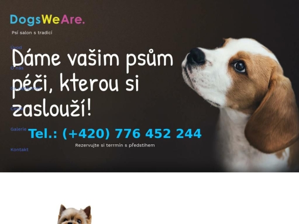 dogsweare.cz