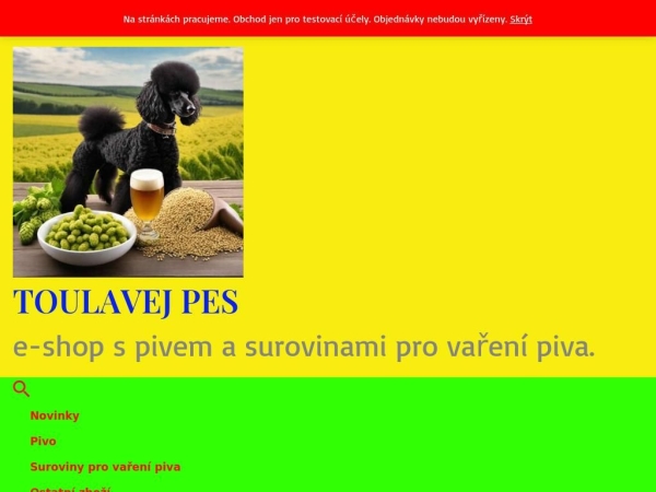 toulavejpes.cz